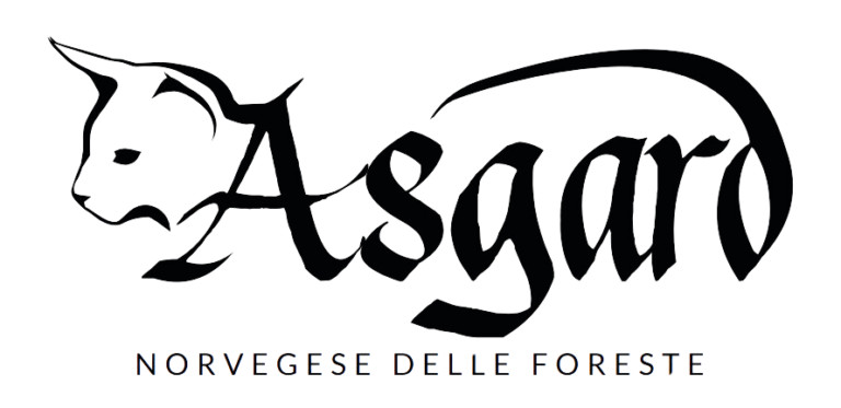 Logo Asgard